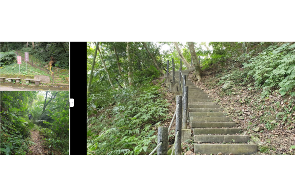 小東河步道